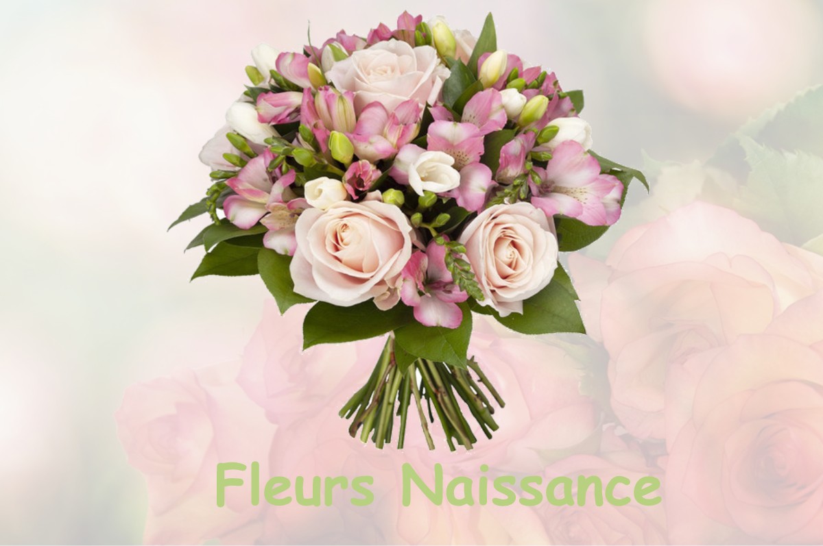 fleurs naissance LEZAT